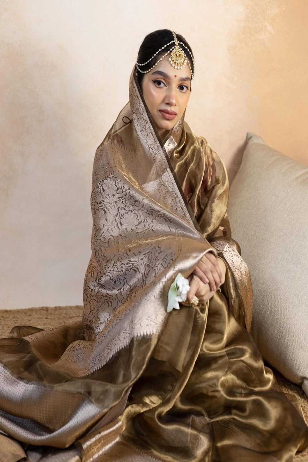 Banarasi Soft Glass Tissue Saree image 1