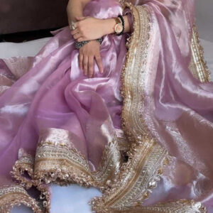 Banarasi Glass Tissue Silk Saree